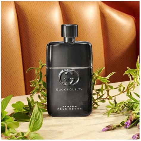 gucci pour homme parfum meraki|Gucci guilty parfum pour homme.